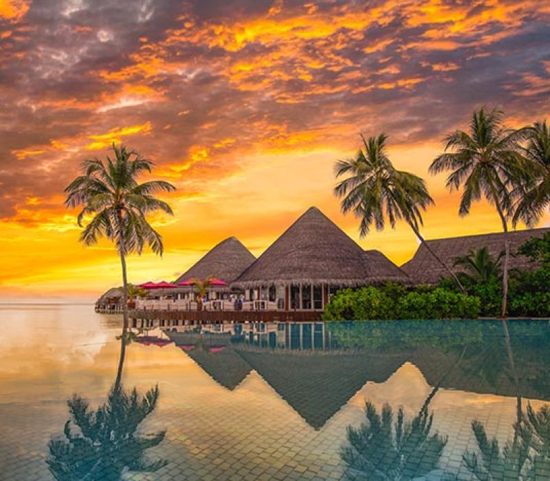Uncover the Magic of Vietnam