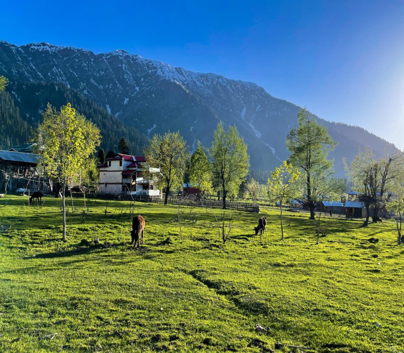 beautiful-landscape-arang-kel-kashmir-with-green-fields-local-houses-with-hidden-clouds
