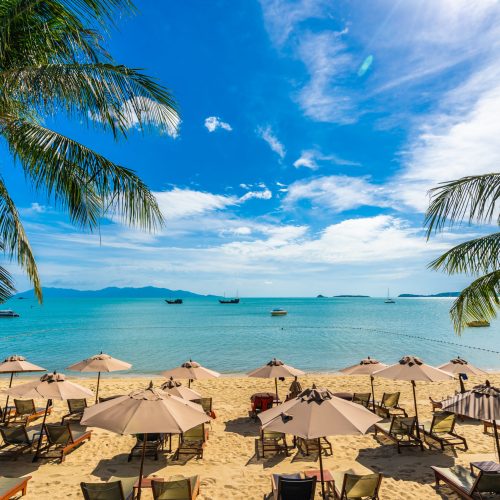 Experience Timeless Beauty in Sri Lanka