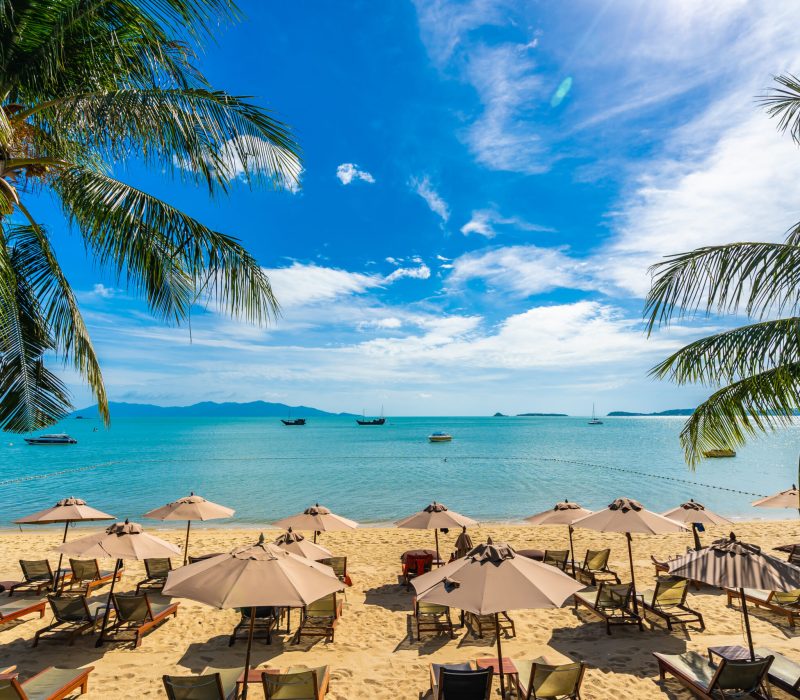 Experience Timeless Beauty in Sri Lanka