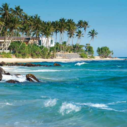 Escape to the Vibrant Beaches of Goa