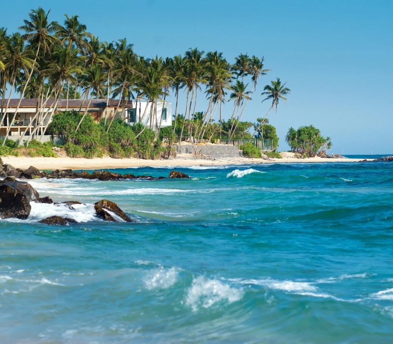Escape to the Vibrant Beaches of Goa