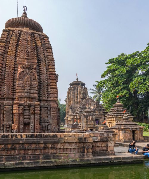 pexels-optically-challenged-19843355